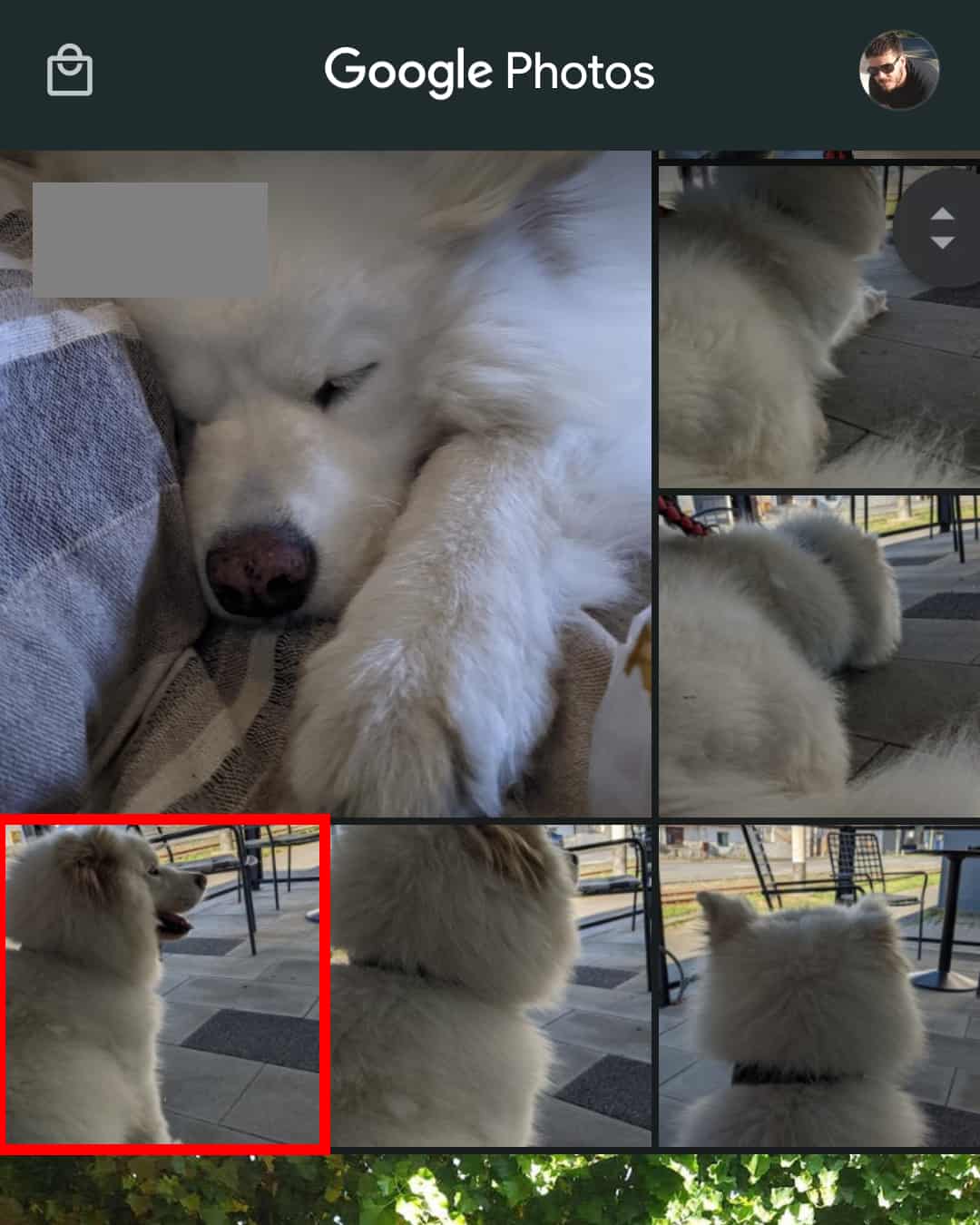 Come aggiungere la sfocatura del ritratto a Google Foto 2